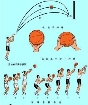 篮球训练心得体会200字左右作文_0
